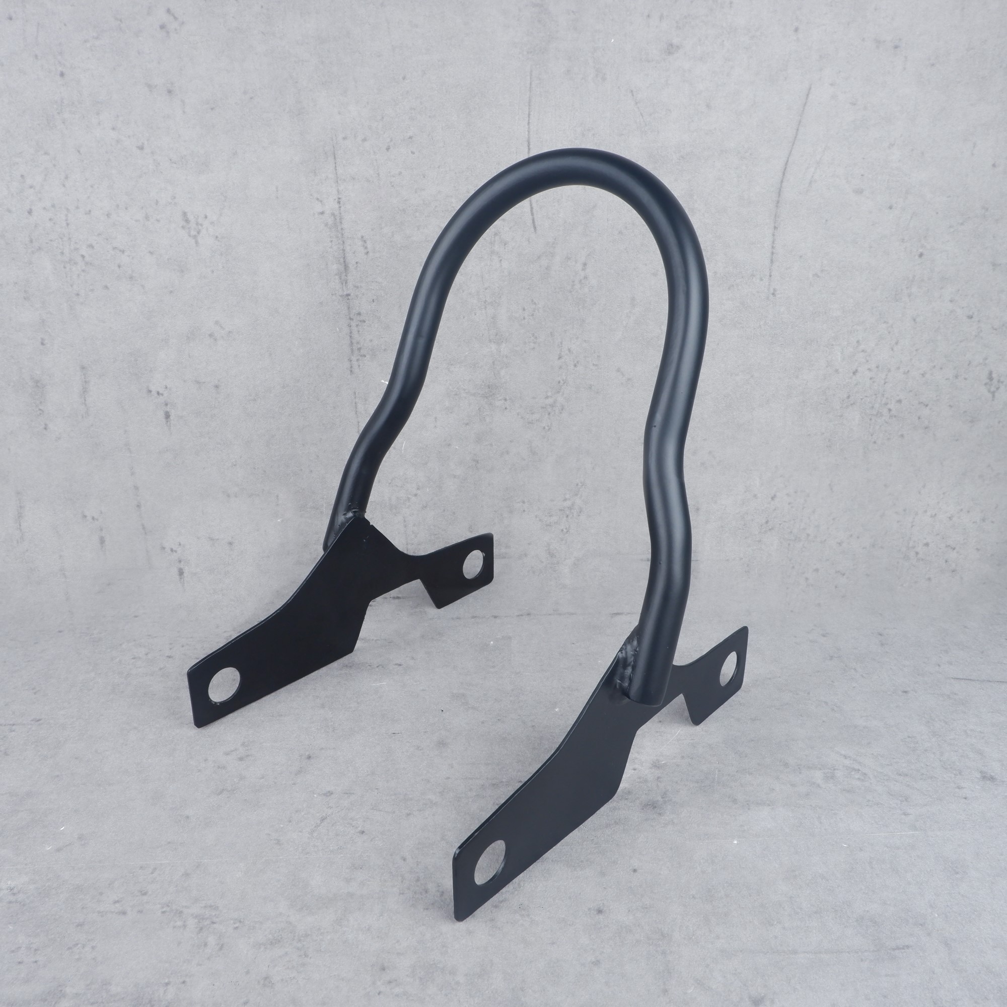 Sissy Bar S